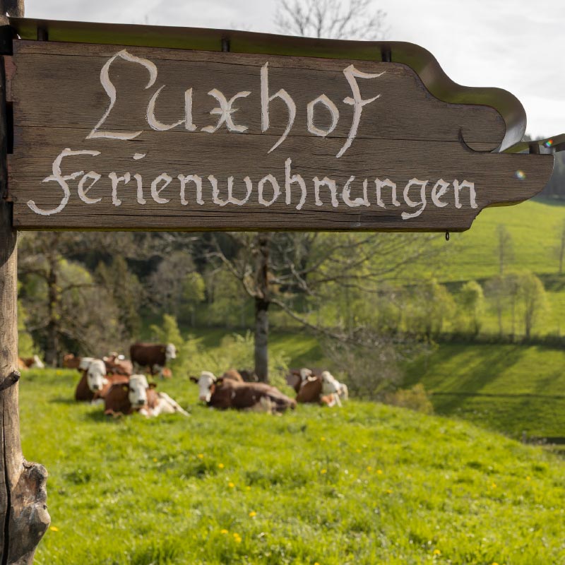 Schild Ferienwohnungen